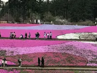 羊山公園の写真・動画_image_234354