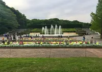 国営武蔵丘陵森林公園の写真・動画_image_234428