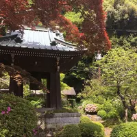 海蔵寺の写真・動画_image_234445