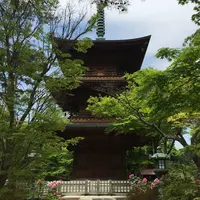 豪徳寺の写真・動画_image_234616