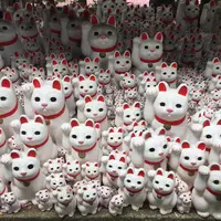 豪徳寺の写真・動画_image_234617