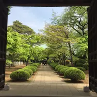 豪徳寺の写真・動画_image_234618