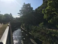 哲学堂公園の写真・動画_image_234795