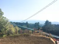 三島スカイウォークの写真・動画_image_234813