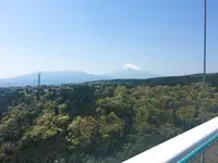 三島スカイウォークの写真・動画_image_234818