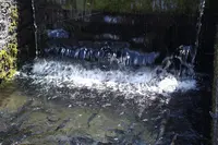 忍野八海の写真・動画_image_235167