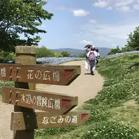 馬見丘陵公園の写真・動画_image_235243