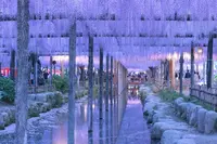 天王川公園の写真・動画_image_235267