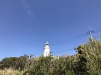 洲埼灯台の写真・動画_image_235290