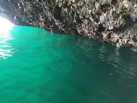 矢越クルーズ(矢越海岸アドベンチャーズのりば)の写真・動画_image_235317