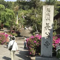 長谷寺の写真・動画_image_235647