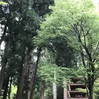 室生寺の写真・動画_image_235655