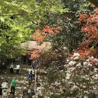 室生寺の写真・動画_image_235656