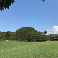 モアナルア・ガーデンズの写真・動画_image_236157