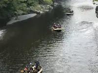 澤乃井園　清流ガーデンの写真・動画_image_236439