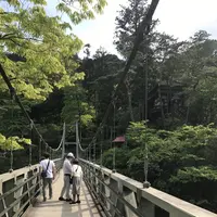 澤乃井園　清流ガーデンの写真・動画_image_236443