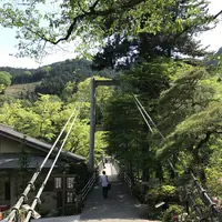 澤乃井園　清流ガーデンの写真・動画_image_236447