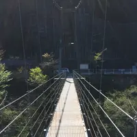 いの町の写真・動画_image_236664