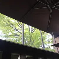 IVY PLACE(アイヴィープレイス)の写真・動画_image_236893