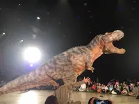 渋谷ヒカリエの写真・動画_image_236998