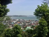 長谷寺の写真・動画_image_237261