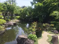 長谷寺の写真・動画_image_237265