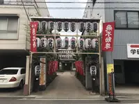 飛不動の写真・動画_image_237337