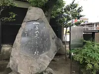 台東区立一葉記念館の写真・動画_image_237531