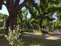Le Pain Quotidien (ル・パン・コティディアン) 芝公園店の写真・動画_image_237939