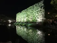 あしかがフラワーパークの写真・動画_image_238041