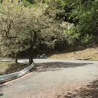 美山かやぶきの里の写真・動画_image_238216