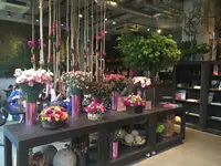 ニコライバーグマン ノム（Nicolai Bergmann NOMU ）の写真・動画_image_238433
