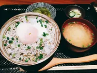 七代目 寅の写真・動画_image_238494