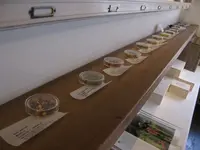 LA RICHESSE BOTANIQUE (ラリシェスボタニック)の写真・動画_image_238565