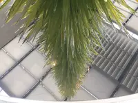 ボストン美術館の写真・動画_image_238602