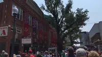 フェンウェイ・パークの写真・動画_image_238623