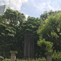清水谷公園の写真・動画_image_238664