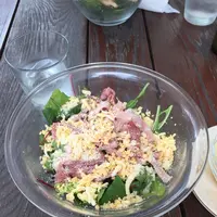 Obikà Mozzarella Bar - Tokyo Midtownの写真・動画_image_238669