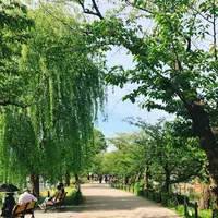 不忍池の写真・動画_image_239034