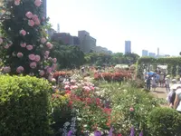 山下公園の写真・動画_image_239307