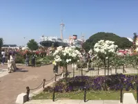 山下公園の写真・動画_image_239313