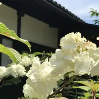 甘味処 ふくまめの写真・動画_image_239558