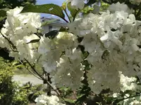 甘味処 ふくまめの写真・動画_image_239560