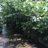 高瀬川の写真・動画_image_239597