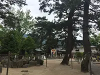 松陰神社の写真・動画_image_239750