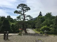 東光寺の写真・動画_image_239760