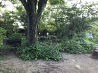waletの写真・動画_image_239865
