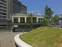 bills福岡の写真・動画_image_239901