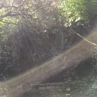 斎場御嶽の写真・動画_image_239911