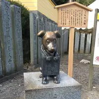 金比羅神社の写真・動画_image_239923